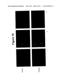 Oral Administration Of Therapeutic Agent Coupled To Transporting Agent diagram and image