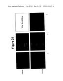 Oral Administration Of Therapeutic Agent Coupled To Transporting Agent diagram and image