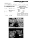 Methods of treatment utilising glucan formulations diagram and image