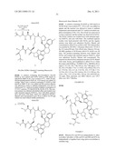 DIMERIC IAP INHIBITORS diagram and image