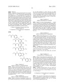 Vanilloid Receptor Ligands, Pharmaceutical Compositions Containing Them,     Process For Making Them, and Use Thereof to Treat Pain and Other     Conditions diagram and image