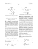 Vanilloid Receptor Ligands, Pharmaceutical Compositions Containing Them,     Process For Making Them, and Use Thereof to Treat Pain and Other     Conditions diagram and image