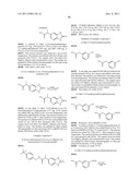 Vanilloid Receptor Ligands, Pharmaceutical Compositions Containing Them,     Process For Making Them, and Use Thereof to Treat Pain and Other     Conditions diagram and image