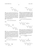 Vanilloid Receptor Ligands, Pharmaceutical Compositions Containing Them,     Process For Making Them, and Use Thereof to Treat Pain and Other     Conditions diagram and image