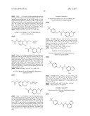 Vanilloid Receptor Ligands, Pharmaceutical Compositions Containing Them,     Process For Making Them, and Use Thereof to Treat Pain and Other     Conditions diagram and image