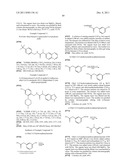 Vanilloid Receptor Ligands, Pharmaceutical Compositions Containing Them,     Process For Making Them, and Use Thereof to Treat Pain and Other     Conditions diagram and image