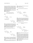 Vanilloid Receptor Ligands, Pharmaceutical Compositions Containing Them,     Process For Making Them, and Use Thereof to Treat Pain and Other     Conditions diagram and image