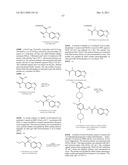 Vanilloid Receptor Ligands, Pharmaceutical Compositions Containing Them,     Process For Making Them, and Use Thereof to Treat Pain and Other     Conditions diagram and image