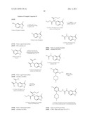 Vanilloid Receptor Ligands, Pharmaceutical Compositions Containing Them,     Process For Making Them, and Use Thereof to Treat Pain and Other     Conditions diagram and image