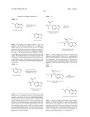 Vanilloid Receptor Ligands, Pharmaceutical Compositions Containing Them,     Process For Making Them, and Use Thereof to Treat Pain and Other     Conditions diagram and image