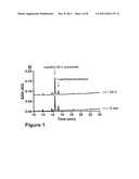 NAPHTHAMIDES AS ANTICANCER AGENTS diagram and image