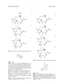 CHEMICAL SYNTHESIS OF A HIGHLY POTENT EPOTHILONE diagram and image