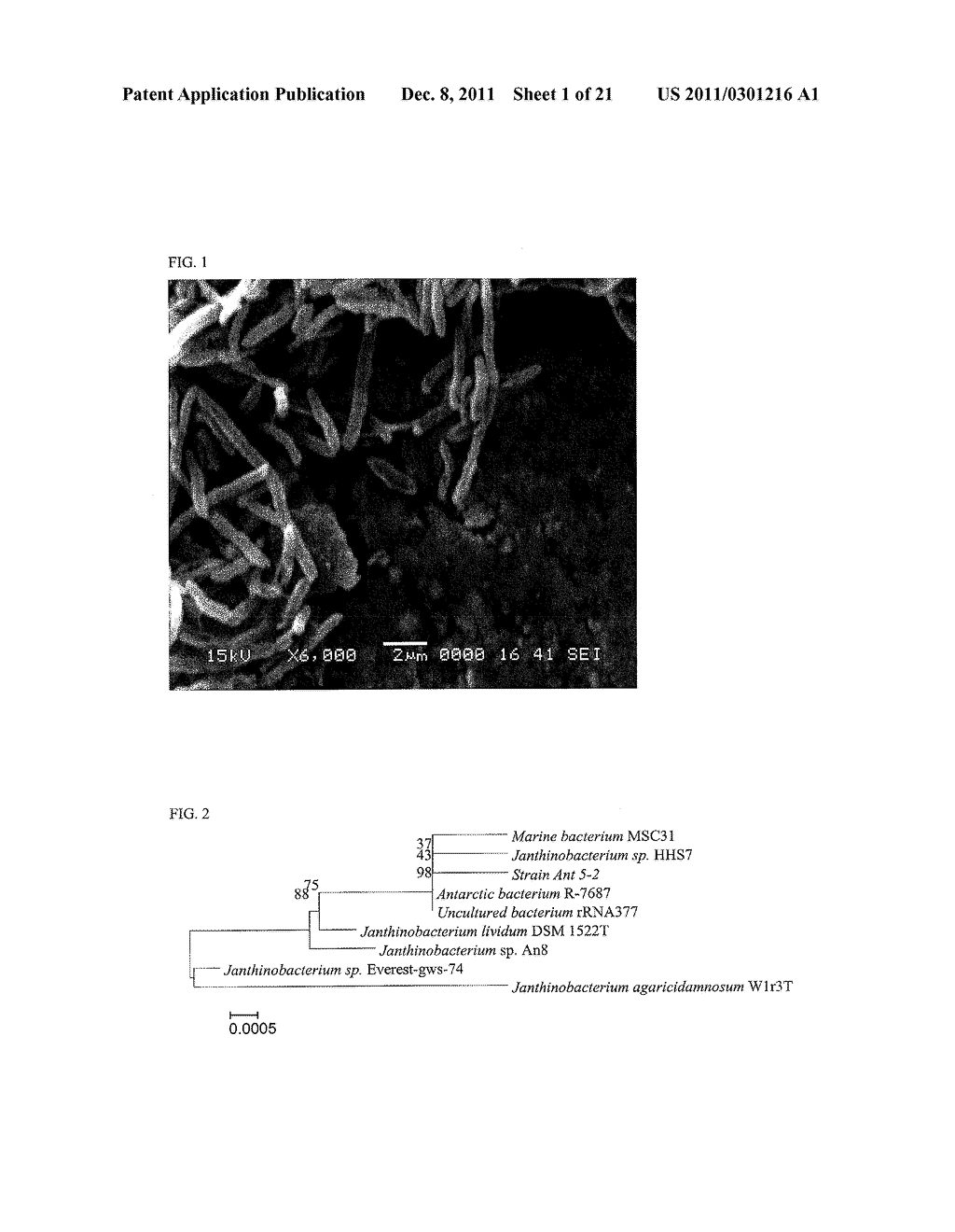 ANTICANCER AND ANTIMICROBIAL COMPOUNDS FROM ANTARCTIC EXTREMOPHILIC     MICROORGANSIMS - diagram, schematic, and image 02