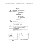 RNA INTERFERENCE MEDIATED INHIBITION OF GENE EXPRESSION USING CHEMICALLY     MODIFIED SHORT INTERFERING NUCLEIC ACID (siNA) diagram and image