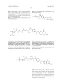 RNA INTERFERENCE MEDIATED INHIBITION OF GENE EXPRESSION USING CHEMICALLY     MODIFIED SHORT INTERFERING NUCLEIC ACID (siNA) diagram and image