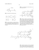 RNA INTERFERENCE MEDIATED INHIBITION OF GENE EXPRESSION USING CHEMICALLY     MODIFIED SHORT INTERFERING NUCLEIC ACID (siNA) diagram and image