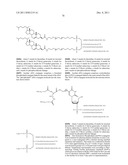 RNA INTERFERENCE MEDIATED INHIBITION OF GENE EXPRESSION USING CHEMICALLY     MODIFIED SHORT INTERFERING NUCLEIC ACID (siNA) diagram and image