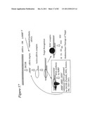 RNA INTERFERENCE MEDIATED INHIBITION OF GENE EXPRESSION USING CHEMICALLY     MODIFIED SHORT INTERFERING NUCLEIC ACID (siNA) diagram and image