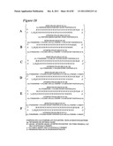 RNA INTERFERENCE MEDIATED INHIBITION OF GENE EXPRESSION USING CHEMICALLY     MODIFIED SHORT INTERFERING NUCLEIC ACID (siNA) diagram and image