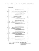 RNA INTERFERENCE MEDIATED INHIBITION OF GENE EXPRESSION USING CHEMICALLY     MODIFIED SHORT INTERFERING NUCLEIC ACID (siNA) diagram and image