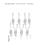 RNA INTERFERENCE MEDIATED INHIBITION OF GENE EXPRESSION USING CHEMICALLY     MODIFIED SHORT INTERFERING NUCLEIC ACID (siNA) diagram and image