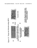 RNA INTERFERENCE MEDIATED INHIBITION OF GENE EXPRESSION USING CHEMICALLY     MODIFIED SHORT INTERFERING NUCLEIC ACID (siNA) diagram and image