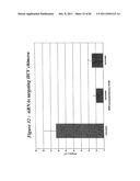 RNA INTERFERENCE MEDIATED INHIBITION OF GENE EXPRESSION USING CHEMICALLY     MODIFIED SHORT INTERFERING NUCLEIC ACID (siNA) diagram and image