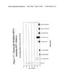 RNA INTERFERENCE MEDIATED INHIBITION OF GENE EXPRESSION USING CHEMICALLY     MODIFIED SHORT INTERFERING NUCLEIC ACID (siNA) diagram and image