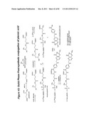 RNA INTERFERENCE MEDIATED INHIBITION OF GENE EXPRESSION USING CHEMICALLY     MODIFIED SHORT INTERFERING NUCLEIC ACID (siNA) diagram and image