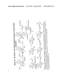 RNA INTERFERENCE MEDIATED INHIBITION OF GENE EXPRESSION USING CHEMICALLY     MODIFIED SHORT INTERFERING NUCLEIC ACID (siNA) diagram and image