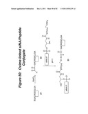 RNA INTERFERENCE MEDIATED INHIBITION OF GENE EXPRESSION USING CHEMICALLY     MODIFIED SHORT INTERFERING NUCLEIC ACID (siNA) diagram and image