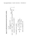 RNA INTERFERENCE MEDIATED INHIBITION OF GENE EXPRESSION USING CHEMICALLY     MODIFIED SHORT INTERFERING NUCLEIC ACID (siNA) diagram and image