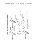 RNA INTERFERENCE MEDIATED INHIBITION OF GENE EXPRESSION USING CHEMICALLY     MODIFIED SHORT INTERFERING NUCLEIC ACID (siNA) diagram and image