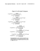 RNA INTERFERENCE MEDIATED INHIBITION OF GENE EXPRESSION USING CHEMICALLY     MODIFIED SHORT INTERFERING NUCLEIC ACID (siNA) diagram and image