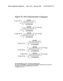 RNA INTERFERENCE MEDIATED INHIBITION OF GENE EXPRESSION USING CHEMICALLY     MODIFIED SHORT INTERFERING NUCLEIC ACID (siNA) diagram and image