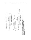 RNA INTERFERENCE MEDIATED INHIBITION OF GENE EXPRESSION USING CHEMICALLY     MODIFIED SHORT INTERFERING NUCLEIC ACID (siNA) diagram and image