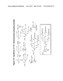 RNA INTERFERENCE MEDIATED INHIBITION OF GENE EXPRESSION USING CHEMICALLY     MODIFIED SHORT INTERFERING NUCLEIC ACID (siNA) diagram and image