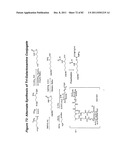 RNA INTERFERENCE MEDIATED INHIBITION OF GENE EXPRESSION USING CHEMICALLY     MODIFIED SHORT INTERFERING NUCLEIC ACID (siNA) diagram and image