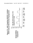 RNA INTERFERENCE MEDIATED INHIBITION OF GENE EXPRESSION USING CHEMICALLY     MODIFIED SHORT INTERFERING NUCLEIC ACID (siNA) diagram and image