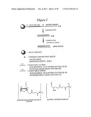 RNA INTERFERENCE MEDIATED INHIBITION OF GENE EXPRESSION USING CHEMICALLY     MODIFIED SHORT INTERFERING NUCLEIC ACID (siNA) diagram and image