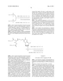 RNA INTERFERENCE MEDIATED INHIBITION OF GENE EXPRESSION USING CHEMICALLY     MODIFIED SHORT INTERFERING NUCLEIC ACID (siNA) diagram and image