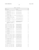 RNA INTERFERENCE MEDIATED INHIBITION OF GENE EXPRESSION USING CHEMICALLY     MODIFIED SHORT INTERFERING NUCLEIC ACID (siNA) diagram and image