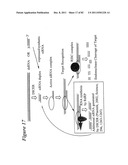 RNA INTERFERENCE MEDIATED INHIBITION OF GENE EXPRESSION USING CHEMICALLY     MODIFIED SHORT INTERFERING NUCLEIC ACID (siNA) diagram and image