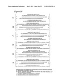 RNA INTERFERENCE MEDIATED INHIBITION OF GENE EXPRESSION USING CHEMICALLY     MODIFIED SHORT INTERFERING NUCLEIC ACID (siNA) diagram and image