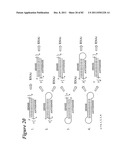 RNA INTERFERENCE MEDIATED INHIBITION OF GENE EXPRESSION USING CHEMICALLY     MODIFIED SHORT INTERFERING NUCLEIC ACID (siNA) diagram and image