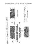 RNA INTERFERENCE MEDIATED INHIBITION OF GENE EXPRESSION USING CHEMICALLY     MODIFIED SHORT INTERFERING NUCLEIC ACID (siNA) diagram and image