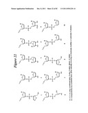 RNA INTERFERENCE MEDIATED INHIBITION OF GENE EXPRESSION USING CHEMICALLY     MODIFIED SHORT INTERFERING NUCLEIC ACID (siNA) diagram and image