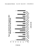 RNA INTERFERENCE MEDIATED INHIBITION OF GENE EXPRESSION USING CHEMICALLY     MODIFIED SHORT INTERFERING NUCLEIC ACID (siNA) diagram and image