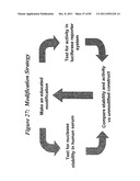 RNA INTERFERENCE MEDIATED INHIBITION OF GENE EXPRESSION USING CHEMICALLY     MODIFIED SHORT INTERFERING NUCLEIC ACID (siNA) diagram and image