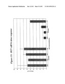 RNA INTERFERENCE MEDIATED INHIBITION OF GENE EXPRESSION USING CHEMICALLY     MODIFIED SHORT INTERFERING NUCLEIC ACID (siNA) diagram and image